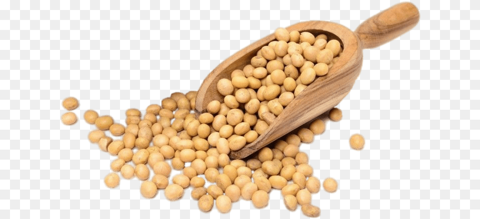 Chickpea Soya Seeds, Bean, Cutlery, Food, Plant Free Transparent Png