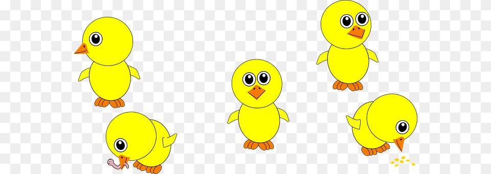 Chicks Animal, Bird Free Transparent Png