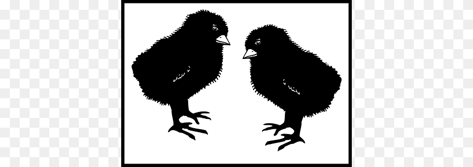 Chicks Silhouette, Animal, Bird, Stencil Free Png Download