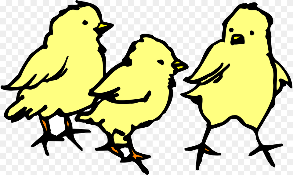 Chicks Clipart, Baby, Person, Animal, Bird Free Transparent Png