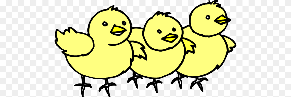 Chicks In A Line Clip Art, Baby, Person, Animal, Bird Free Png Download