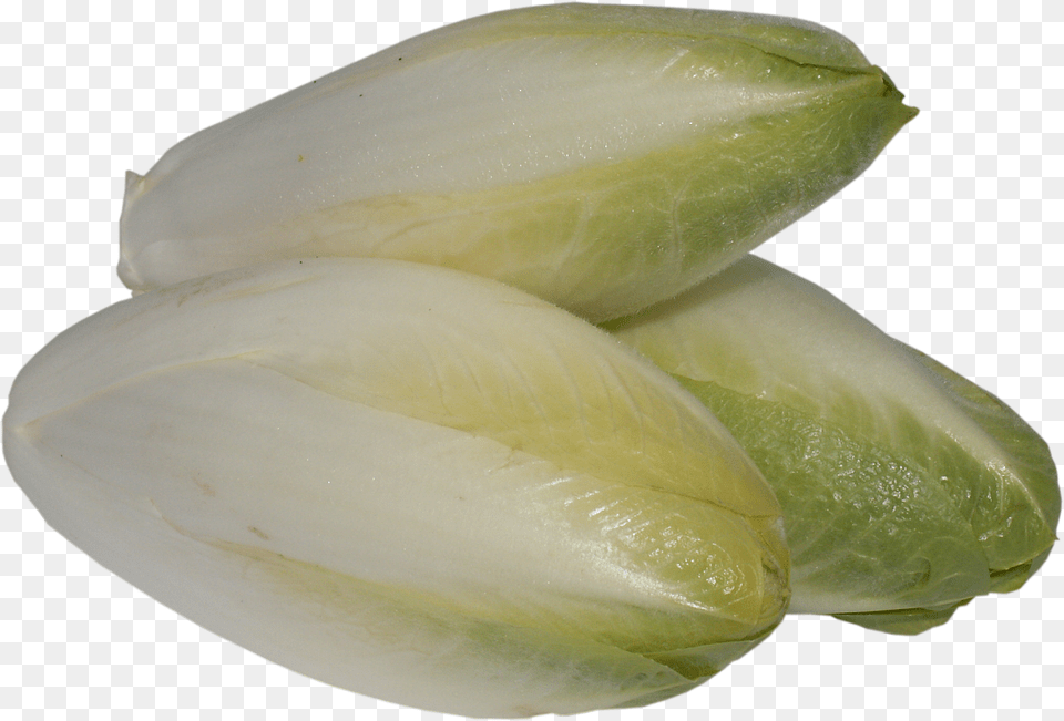 Chicory Food, Produce, Plant, Leafy Green Vegetable Png Image