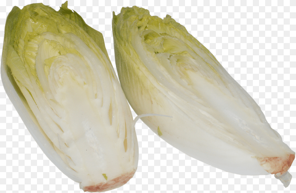 Chicory Food, Produce, Cream, Dessert Png Image