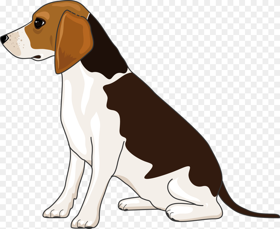 Chien Harrier, Animal, Canine, Dog, Hound Free Png