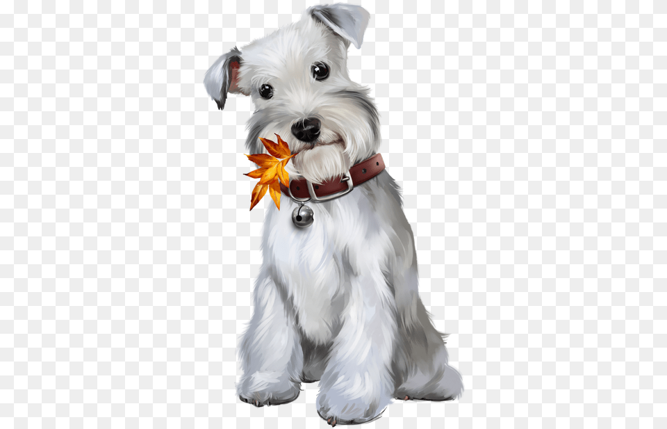 Chiens Puppies Wallpapers Clip, Animal, Canine, Dog, Mammal Free Transparent Png