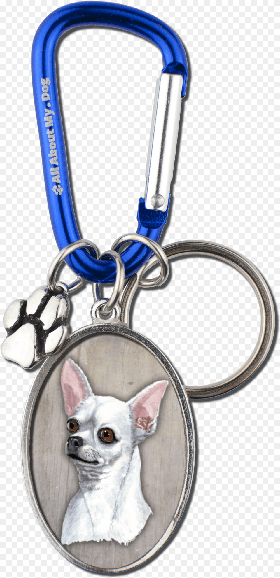 Chihuahua, Smoke Pipe, Accessories, Animal, Canine Png Image