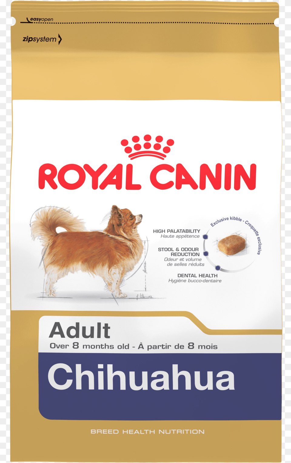Chihuahua, Advertisement, Poster, Animal, Canine Free Png