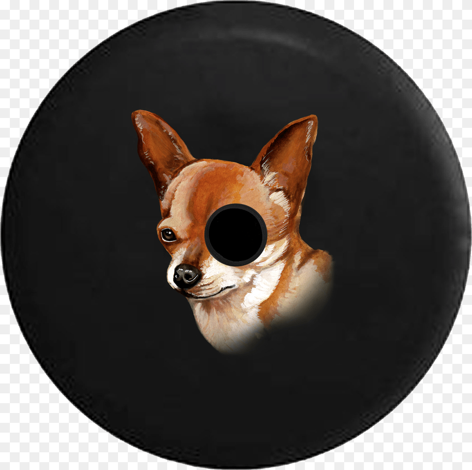 Chihuahua, Animal, Canine, Mammal, Pet Free Png