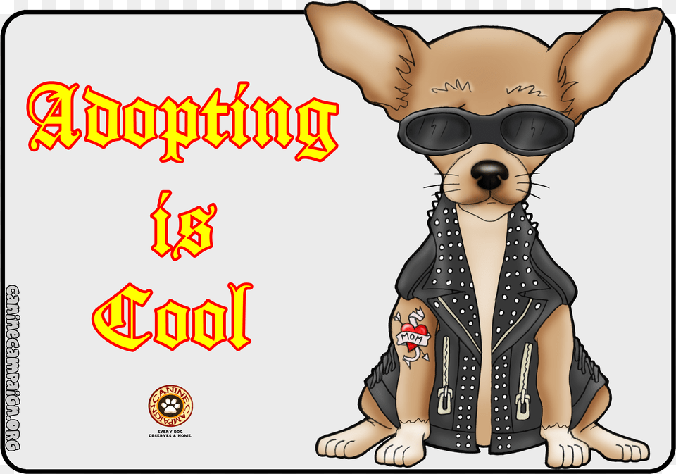 Chihuahua, Baby, Person, Animal, Canine Png