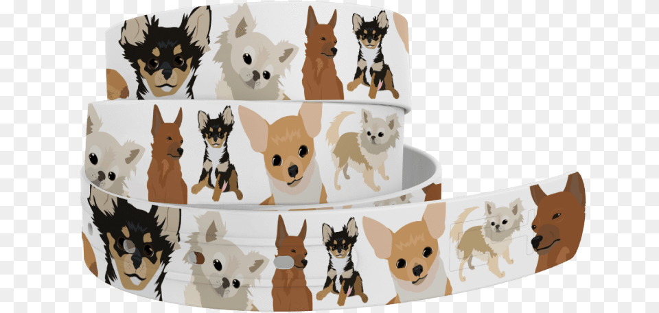 Chihuahua Belt C4 Soft, Accessories, Animal, Canine, Dog Free Transparent Png