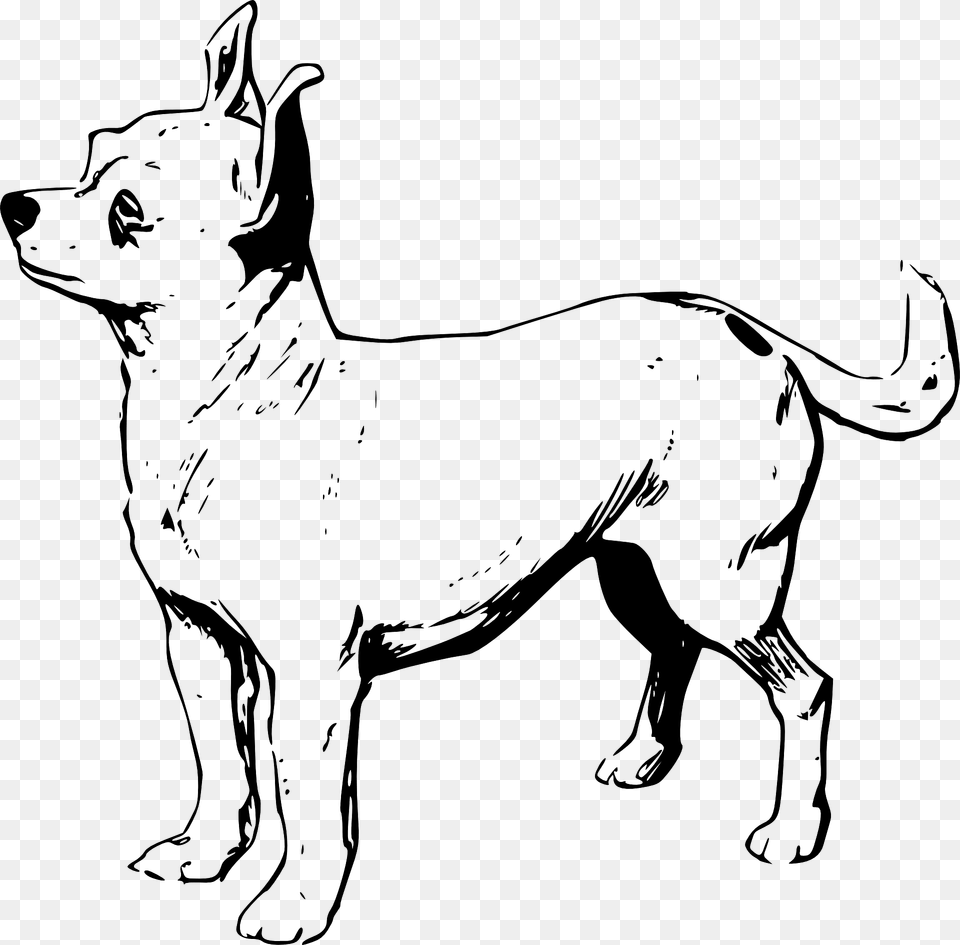 Chihuahua Clipart, Art, Stencil, Drawing, Animal Free Transparent Png