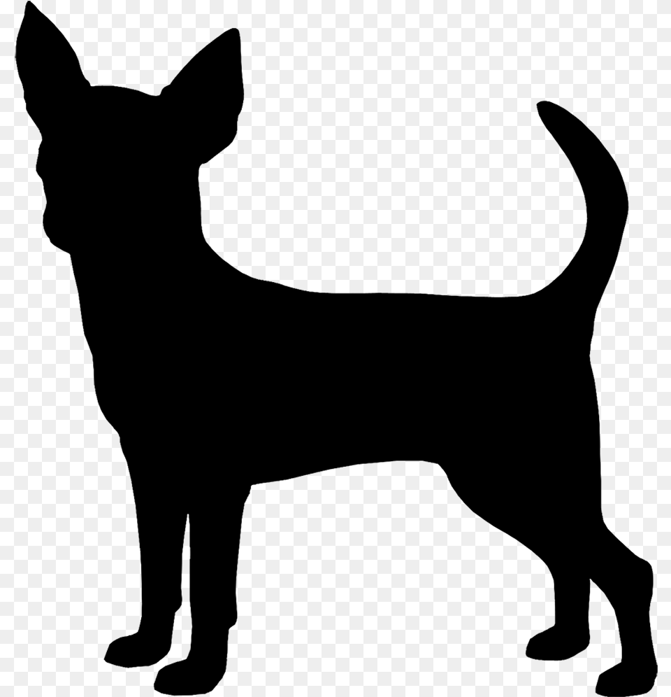 Chihuahua Clipart Chihuahua Silhouette Silhouette Of A Chihuahua, Gray Png Image