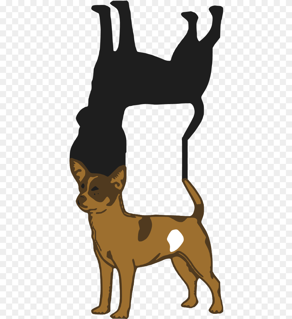 Chihuahua Clipart Download, Animal, Pet, Person, Cat Png