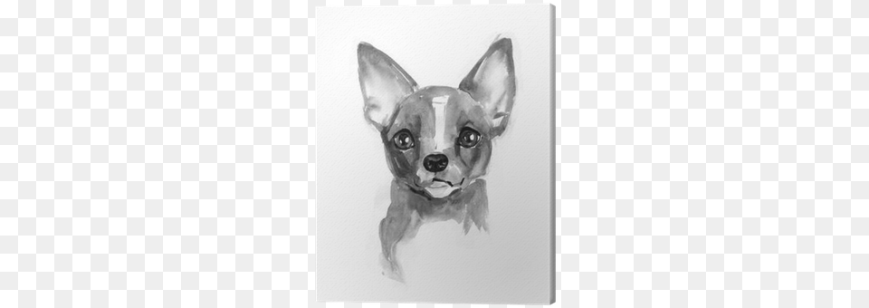 Chihuahua Dog Cute Face Chiwawa Puppy Watercolor Chihuahua, Art, Drawing, Animal, Canine Png