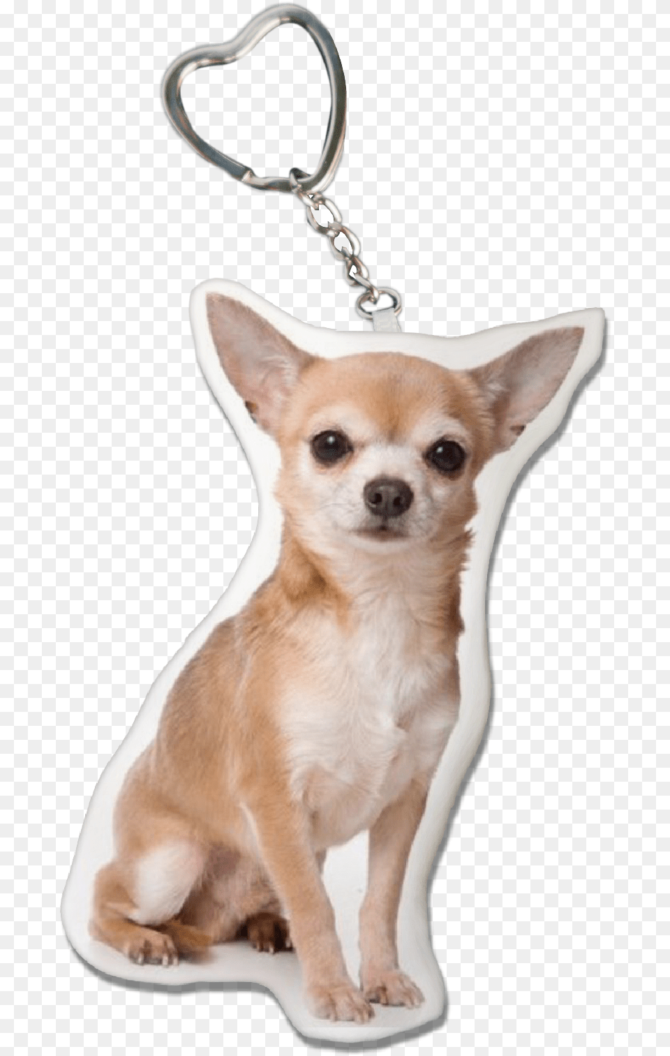 Chihuahua Key Chain Chihuahua Collectibles, Animal, Canine, Dog, Mammal Free Transparent Png