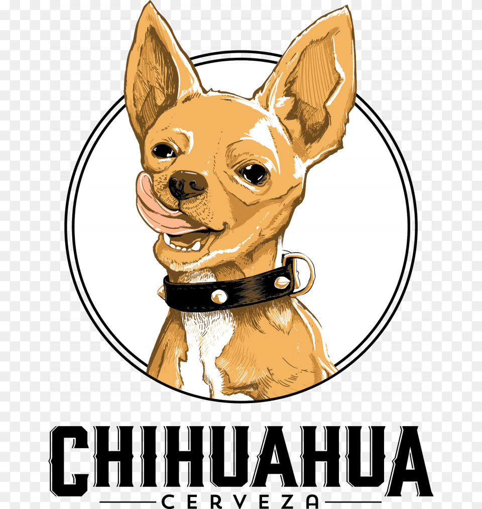 Chihuahua Limon, Animal, Mammal, Pet, Dog Png