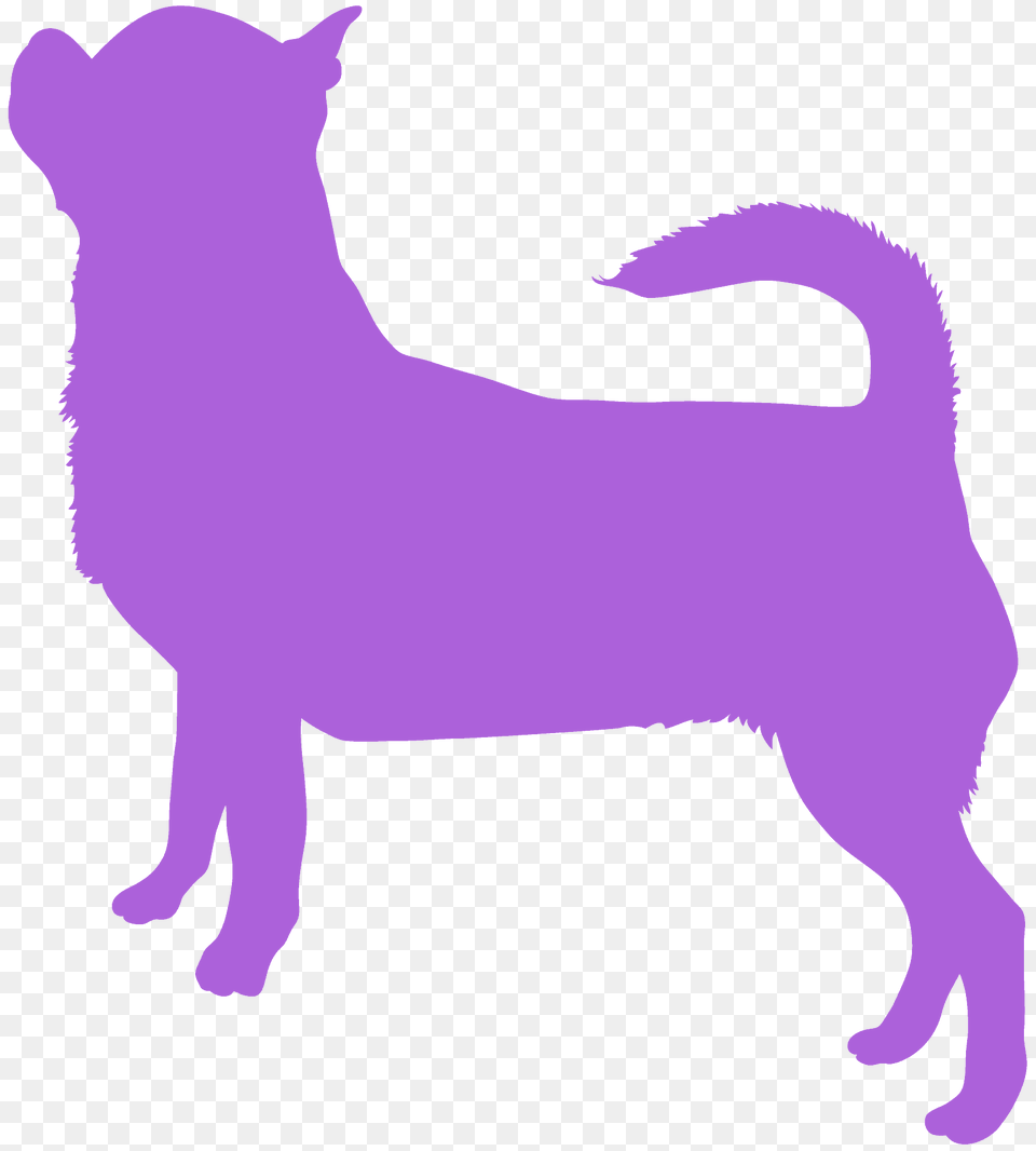 Chihuahua Silhouette, Animal, Mammal, Pig, Livestock Png