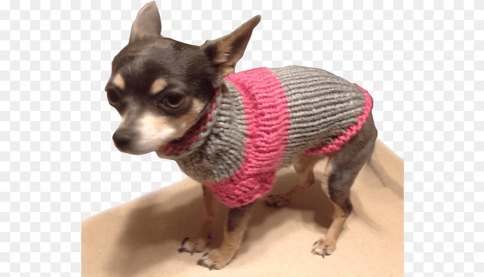 Chihuahua Sweater Pattern By Onnica Hutchings Chihuahua Sweater, Clothing, Hat, Cap, Animal Png Image