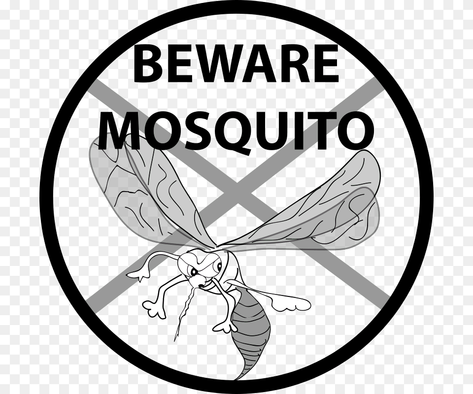 Chikungunya Black And White, Animal, Bee, Insect, Invertebrate Free Png