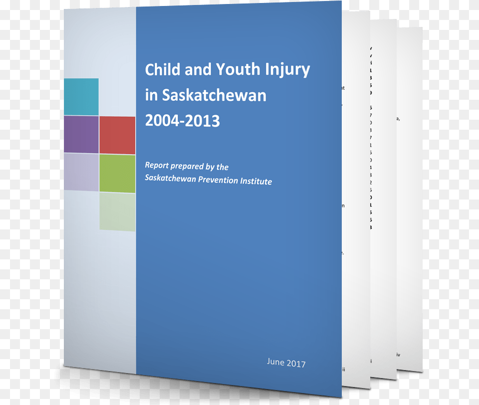 Child And Youth Injury In Saskatchewan 2004 2013 Graphic Design, Advertisement, Poster Png Image