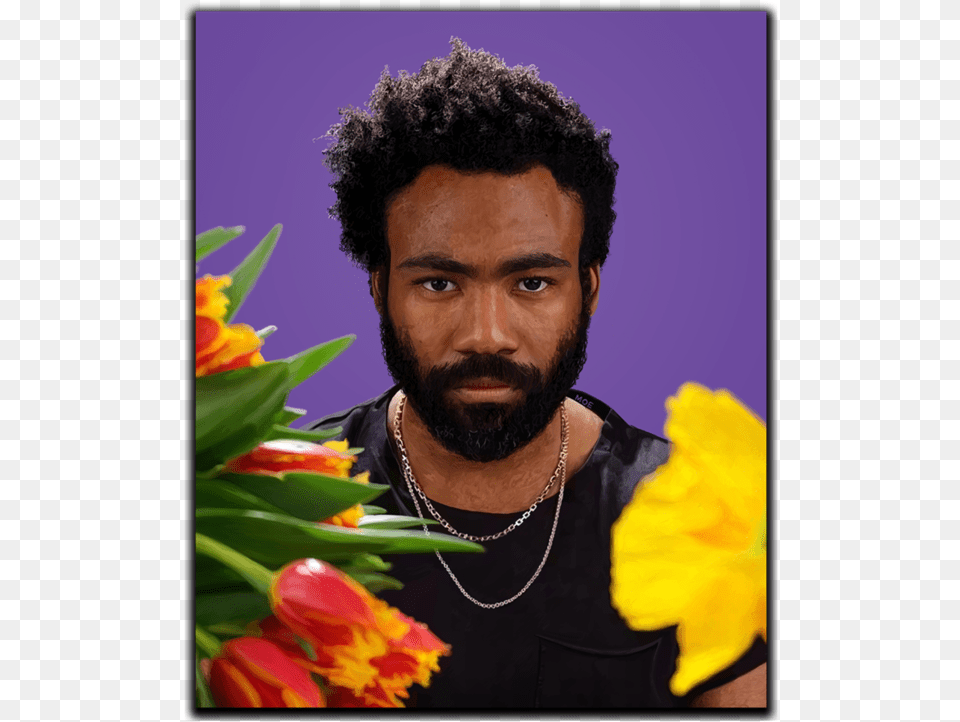Childish Gambino Portrait, Person, Beard, Face, Flower Png