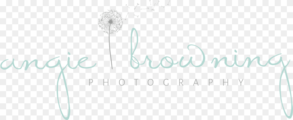 Children, Flower, Plant, Text, Blackboard Free Png