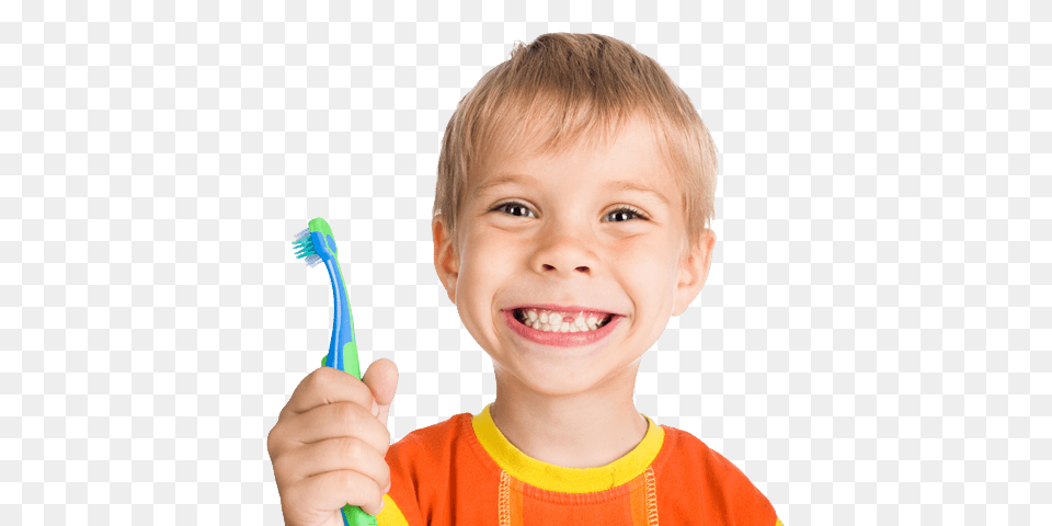 Children, Brush, Device, Tool, Toothbrush Free Png Download