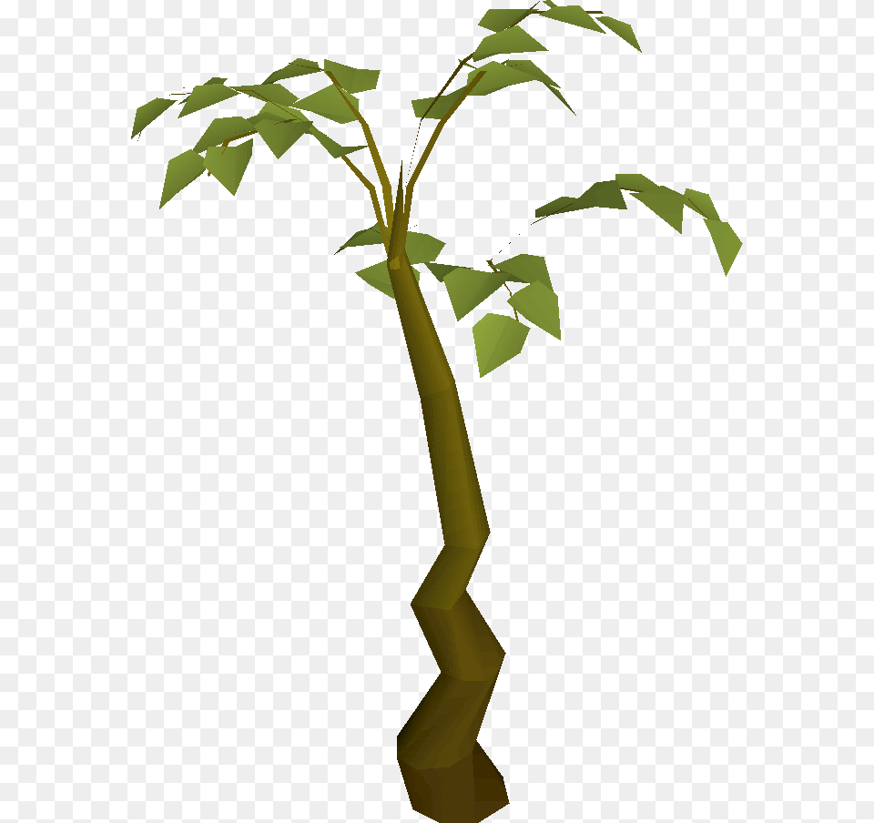 Children Planting Clipart Tall Plant Clipart, Leaf, Tree, Potted Plant, Tree Trunk Png
