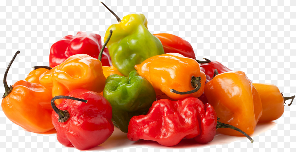 Chile Habanero, Bell Pepper, Food, Pepper, Plant Free Transparent Png