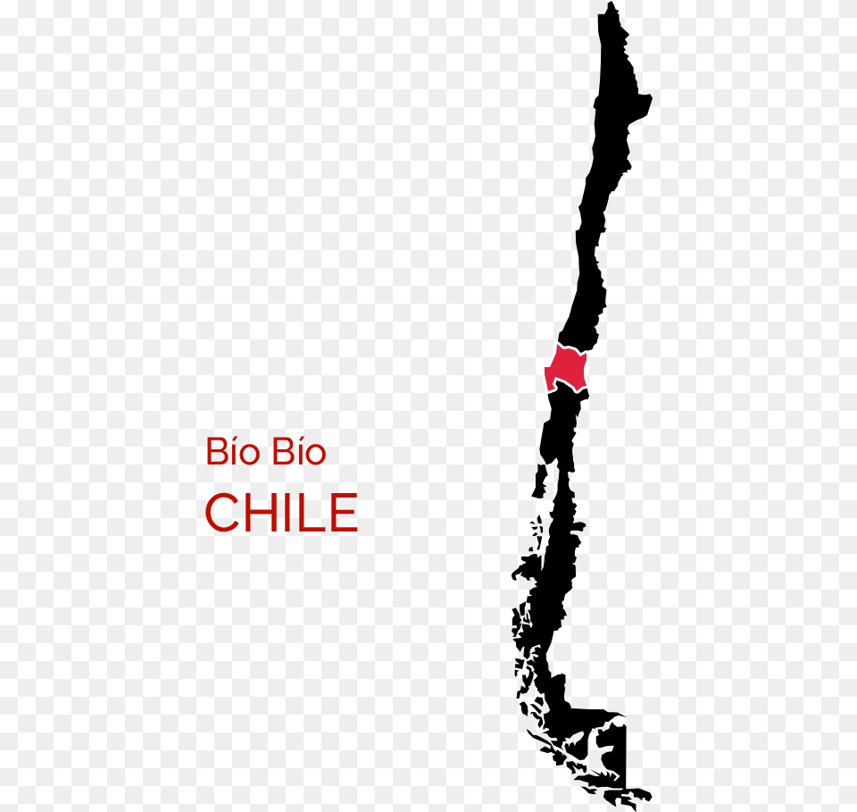 Chile Map Grey, Logo Png