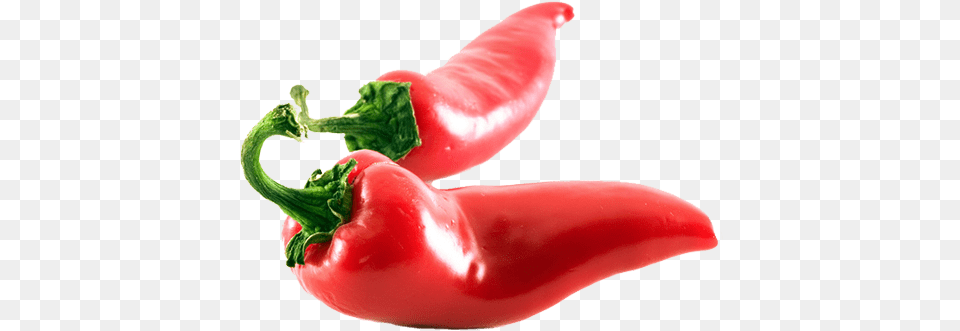 Chili, Food, Produce, Bell Pepper, Pepper Free Transparent Png
