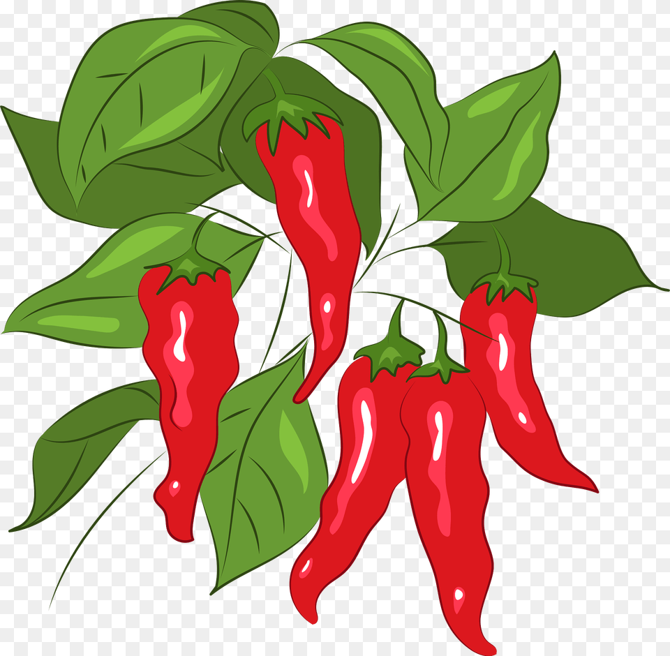 Chili Clipart, Food, Pepper, Plant, Produce Png Image