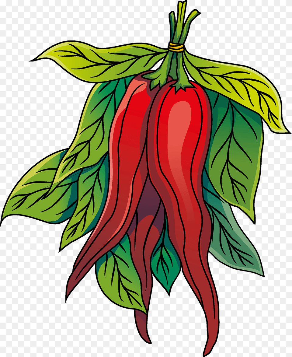 Chili Clipart, Food, Produce, Pepper, Plant Png Image