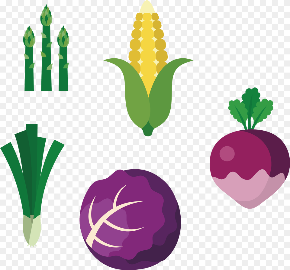 Chili Con Carne Onion Fruit Vegetable Garlic Vegetable, Food, Produce, Plant, Turnip Png