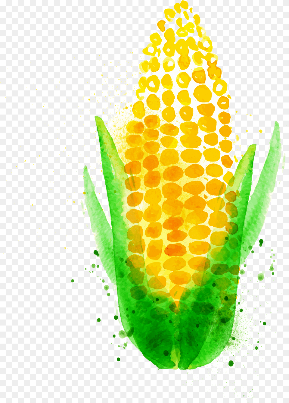 Chili Con Carne Watercolor Painting Maize Vegetable Watercolor Corn, Food, Grain, Plant, Produce Free Transparent Png
