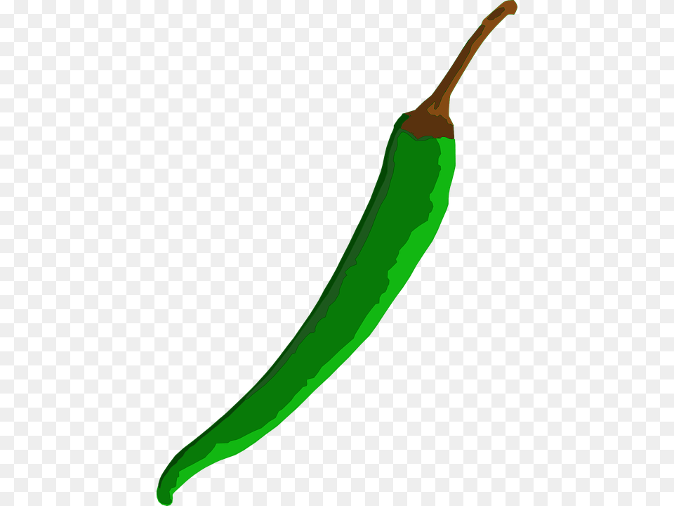 Chili Green Pepper Spicy Hot Cooking Spice Of Green Chilli, Food, Produce, Smoke Pipe, Plant Png Image