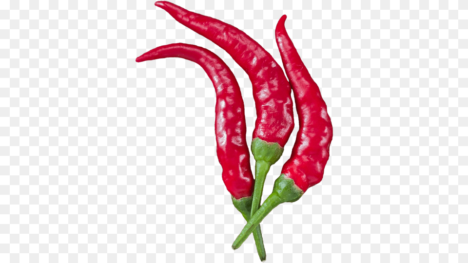 Chili Pepper, Food, Produce, Plant, Vegetable Free Png Download