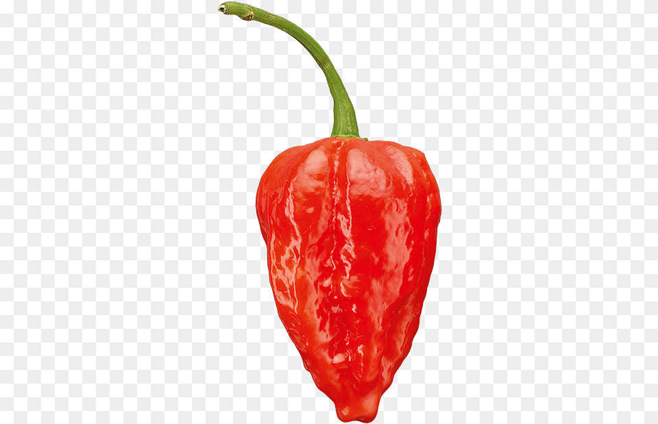 Chili Pepper, Food, Produce, Bell Pepper, Plant Png