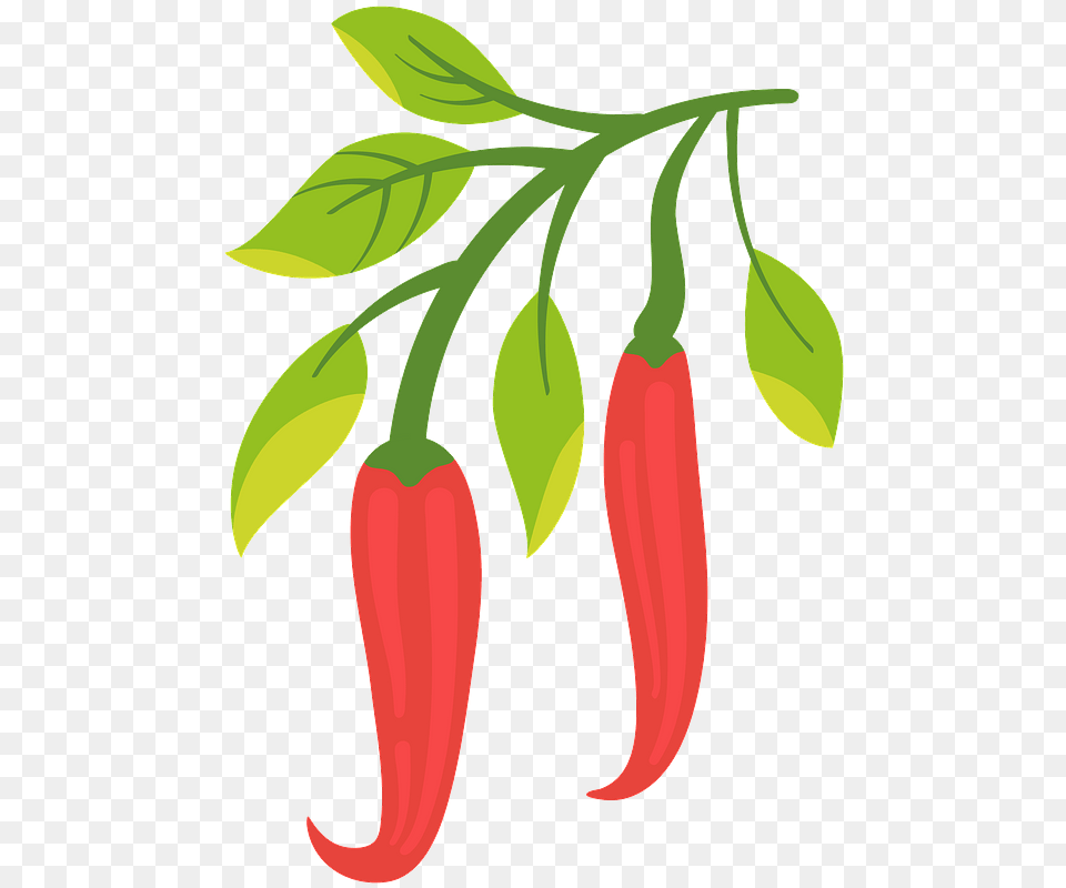 Chili Pepper Clipart Chile Pepper Clipart, Food, Produce, Plant, Vegetable Free Png