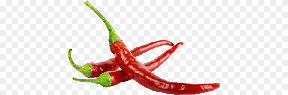 Chili Pepper Memes, Food, Produce, Plant, Vegetable Png