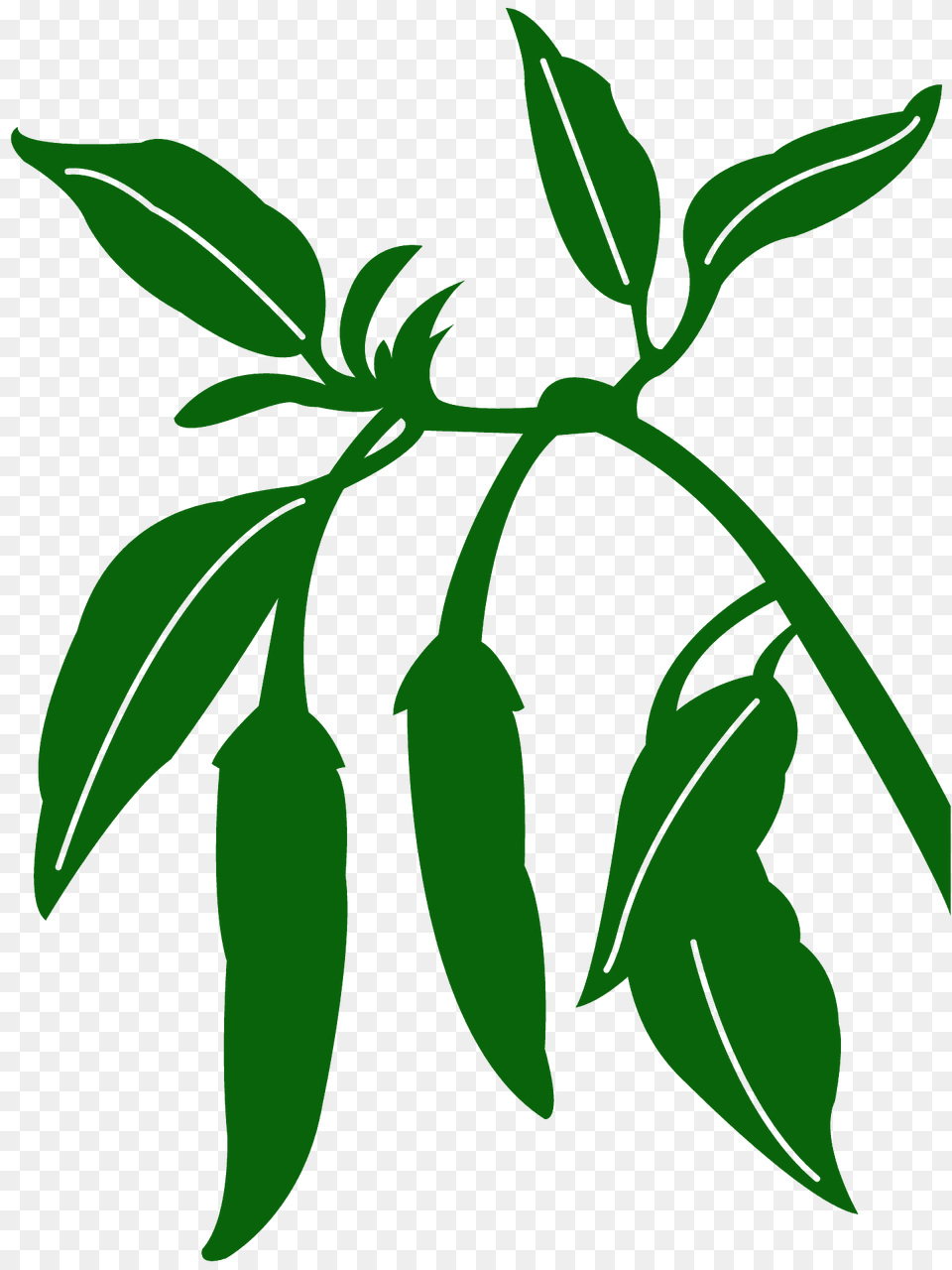 Chili Pepper Silhouette, Green, Leaf, Plant, Herbal Free Png