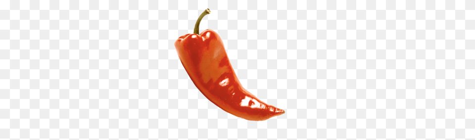 Chili Pepper Transparent Image, Food, Ketchup, Plant, Produce Free Png
