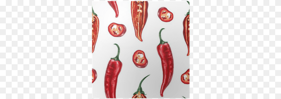 Chili Watercolor, Food, Produce, Pepper, Plant Png