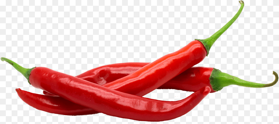 Chilli, Food, Pepper, Plant, Produce Free Png
