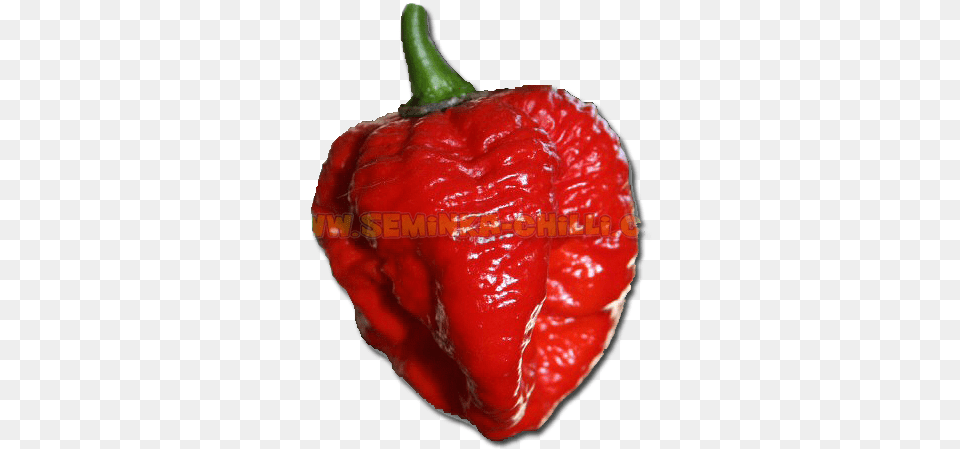 Chilli Infinity Chili, Bell Pepper, Food, Ketchup, Pepper Free Png Download