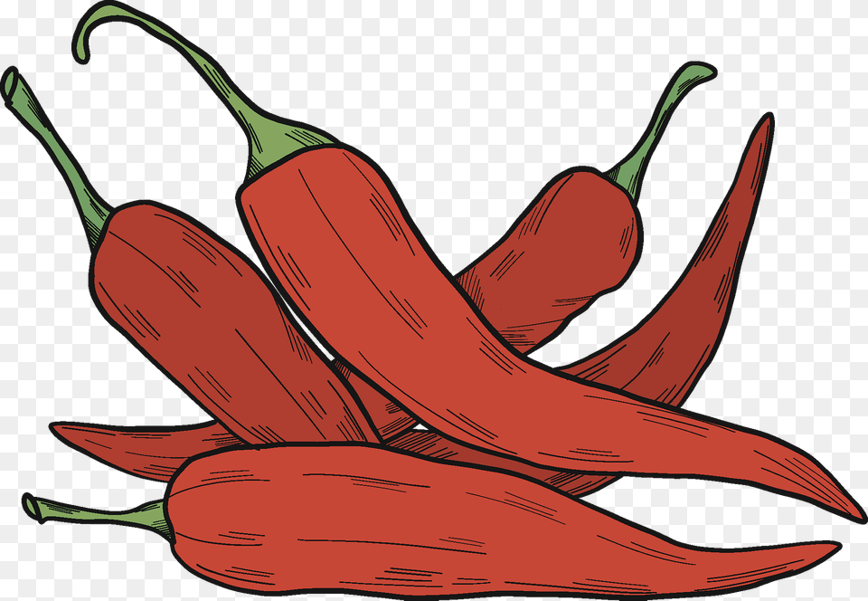 Chilli Peppers Clipart, Produce, Food, Vegetable, Plant Free Png