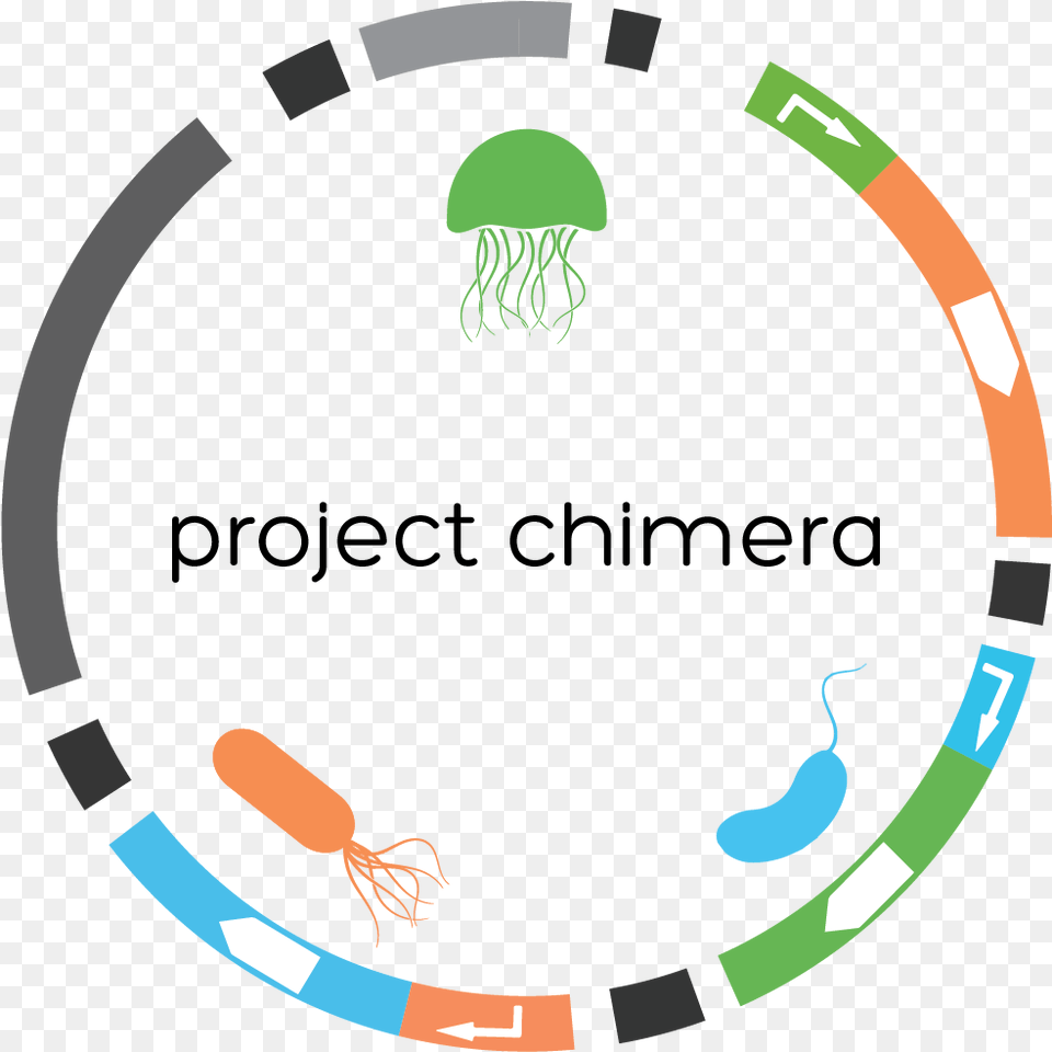 Chimeraplasmid Circle, Animal, Sea Life, Invertebrate, Jellyfish Png Image