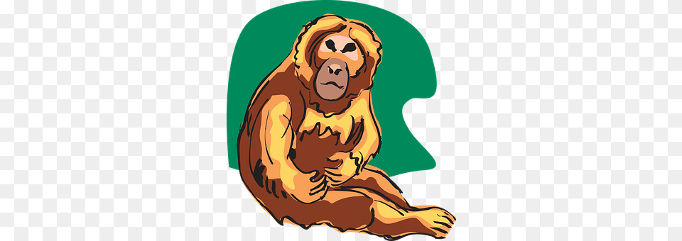 Chimp Person, Animal, Mammal, Wildlife Png Image