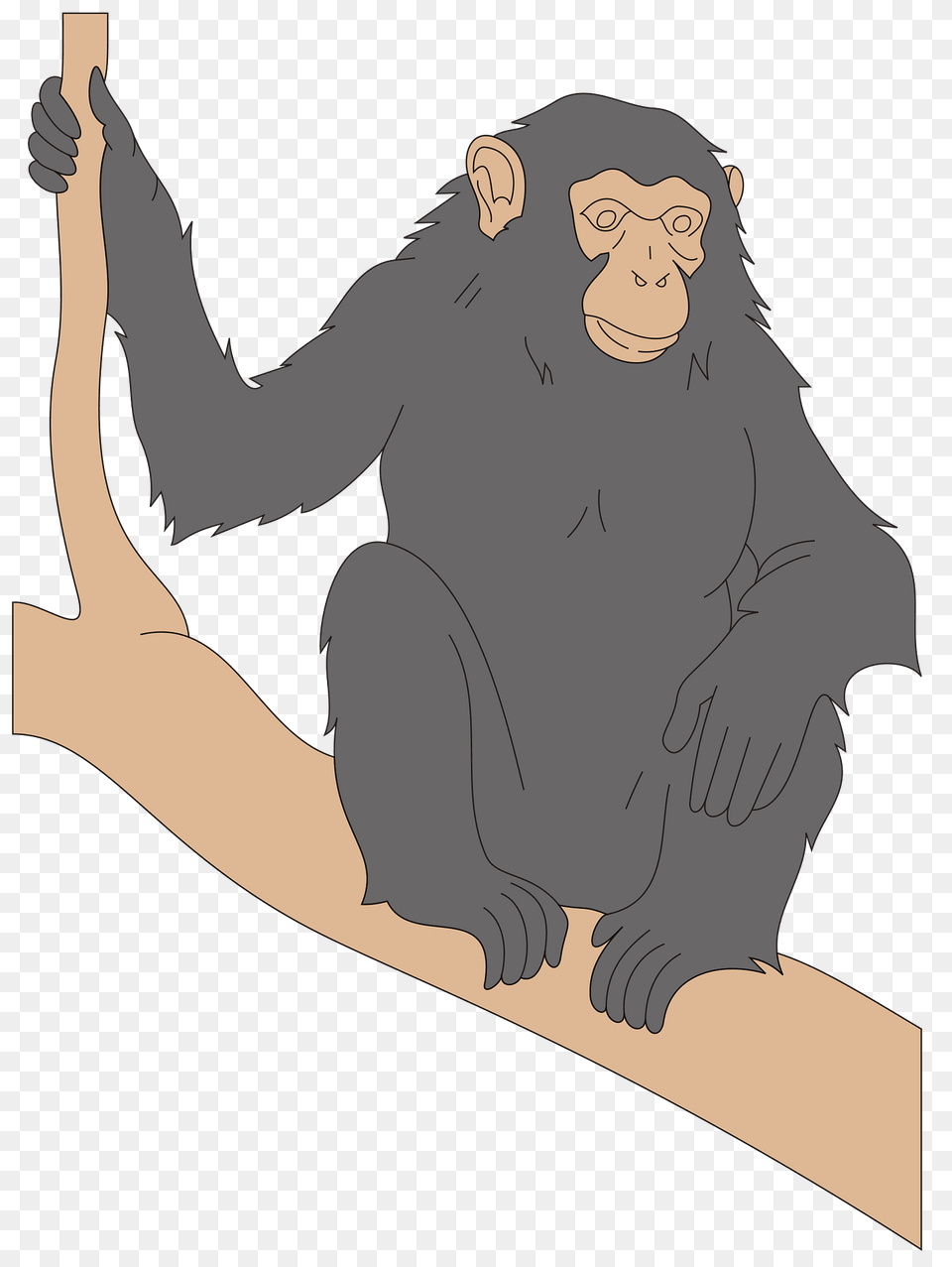 Chimp Clipart, Animal, Ape, Mammal, Wildlife Png