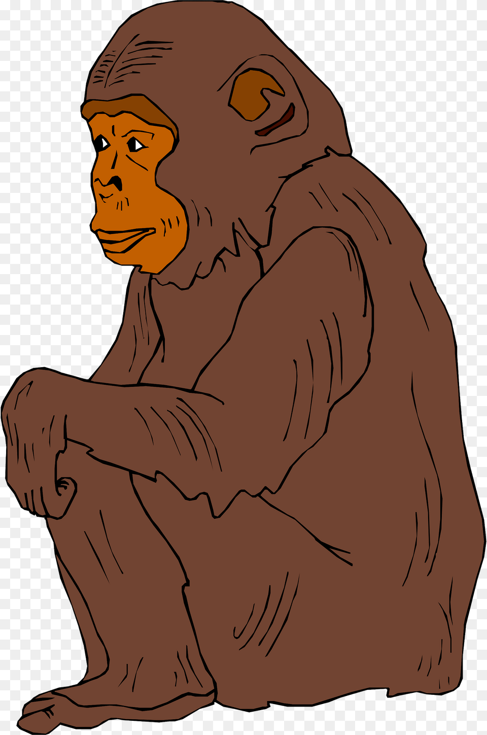 Chimp Clipart, Animal, Ape, Mammal, Person Free Png Download